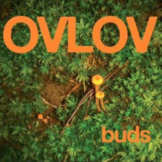Ovlov - Buds (Green LP Vinyl) Vinyl Record