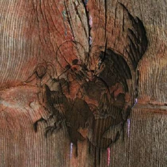 Avey Tare's Slasher Flicks - Enter The Slasher House (2LP/Dl Card) Vinyl Record