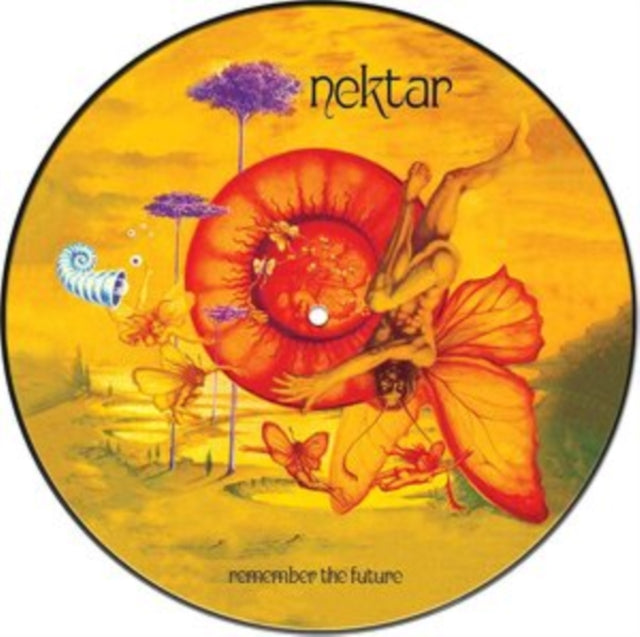 Remember The Future (Picture Disc) Vinyl Record
