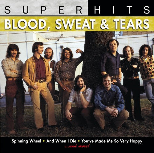 the album cover for Blood, Sweat & Tears - Super Hits