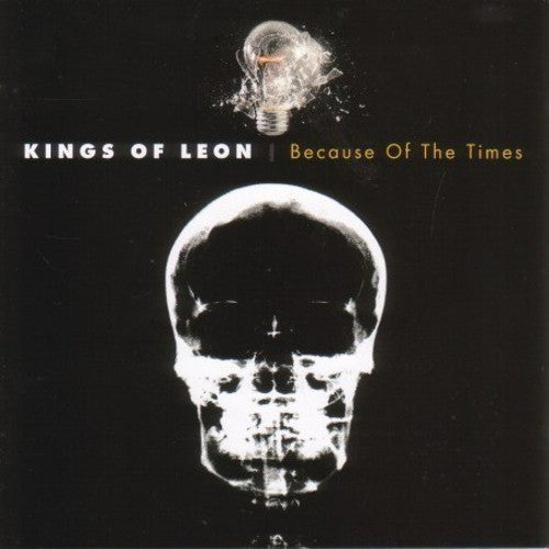 the album cover for Kings Of Leon - Because of the Times