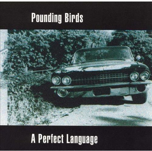 Pounding Birds - A Perfect Language - Music CD