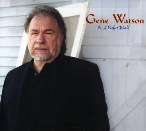 In a Perfect World Music CD