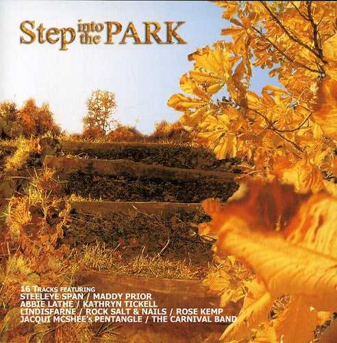the album cover for Step Into The Park - Step Into The Park
