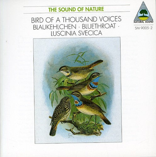 Tilgner - Blaukehlchen. Tilgner - Music CD