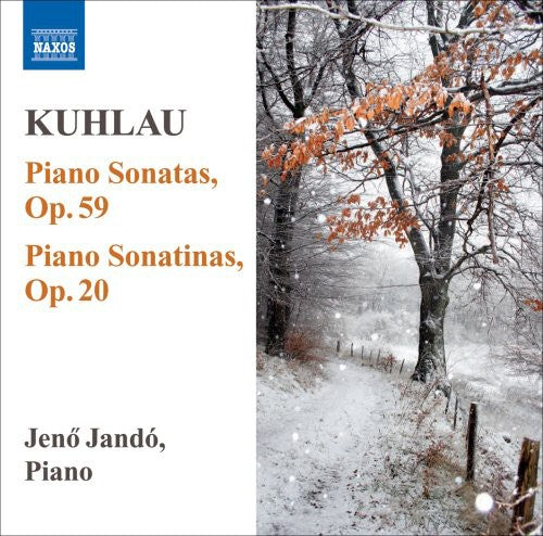 the album cover for Jenő Jandó - Piano Sonatas 1