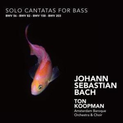 Bach,j.s. / Mertens / Koopman - Solo Cantatas For Bass - Music CD