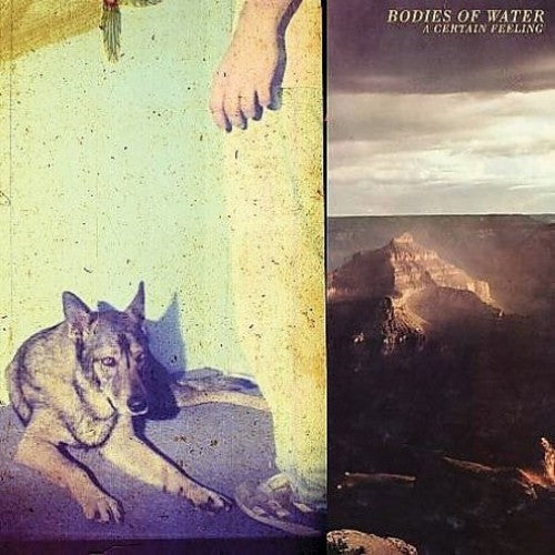 Bodies of Water - A Certain Feeling Vinyl Record