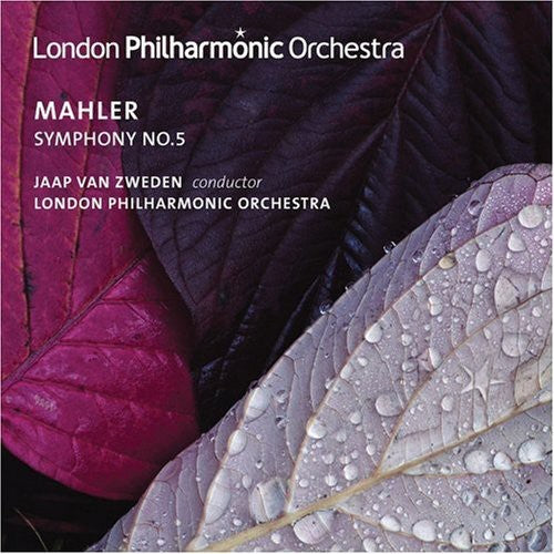 the album cover for Jaap Van Zweden - Symphony No. 5