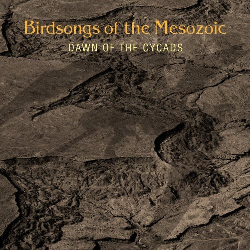 Birdsongs Of The Mesozoic - Dawn Of The Cycads - Music CD