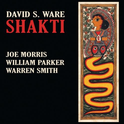Ware,david S - Shakti - Music CD