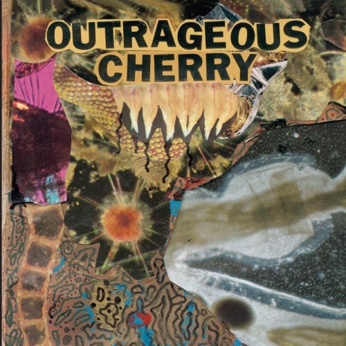 Outrageous Cherry - Universal Malcontents - Music CD
