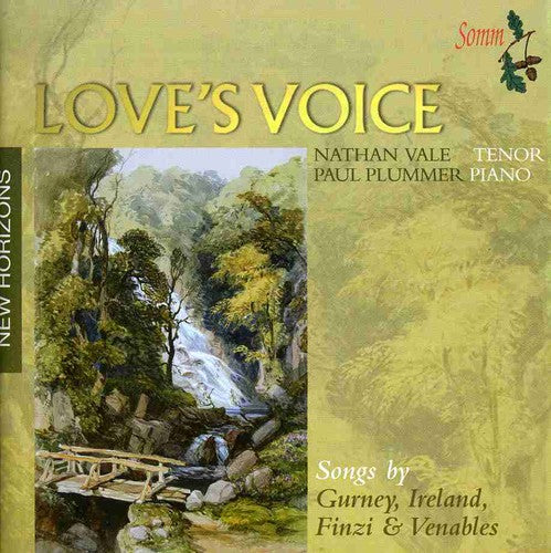 the album cover for Finzi Gurney Ireland-Songs - Finzi Gurney Ireland-Songs / Various