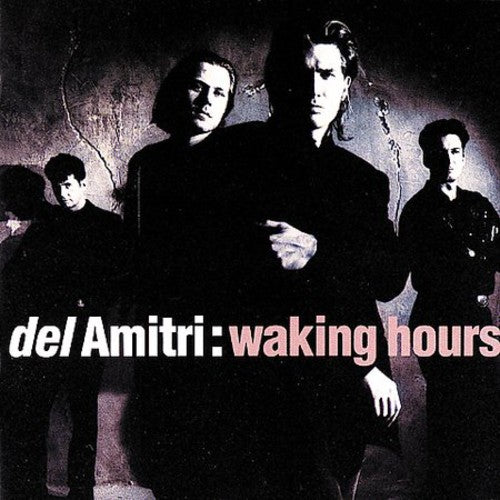 the album cover for Del Amitri - Waking Hours