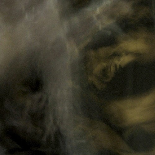 the album cover for Pixyblink & Rhea Tucanae - Fungi from