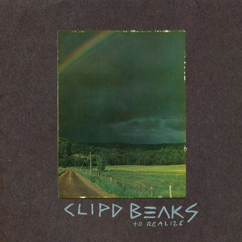 the album cover for Clipd Beaks - To Realize