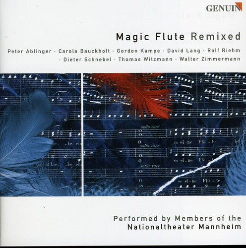 the album cover for Robert Armbruster - Magic Flute Remixed