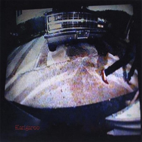 the album cover for Kangaroo - Guesswork of the Youth Parade