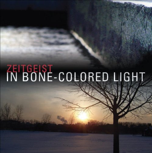 Zeitgeist / Gatto / Medek / Kitzke / Jackanich - In Bone-colored Light - Music CD