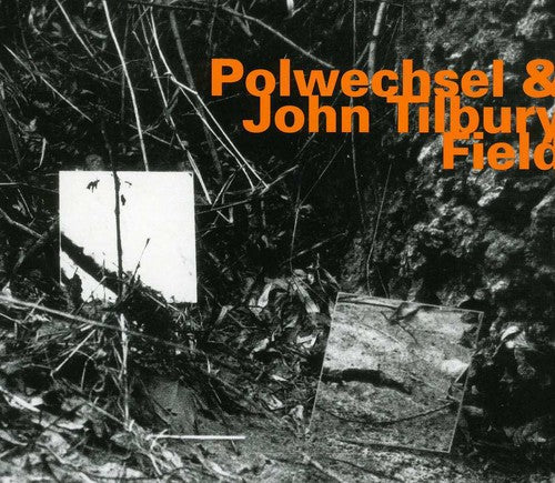 Polwechsel & John Tilbury - Field - Music CD