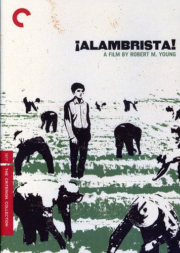 Criterion Collection - Alambrista/dvd - DVD