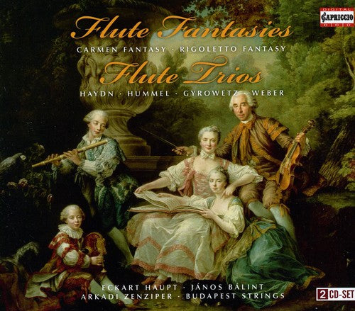 the album cover for Haydn/Hummel/Weber/Gyrowetz - Flute Fantasies / Flute Trios