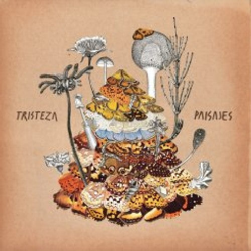 the album cover for Tristeza - Paisajes