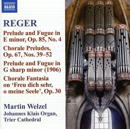 the album cover for Martin Welzel - Reger 10: Organ Works