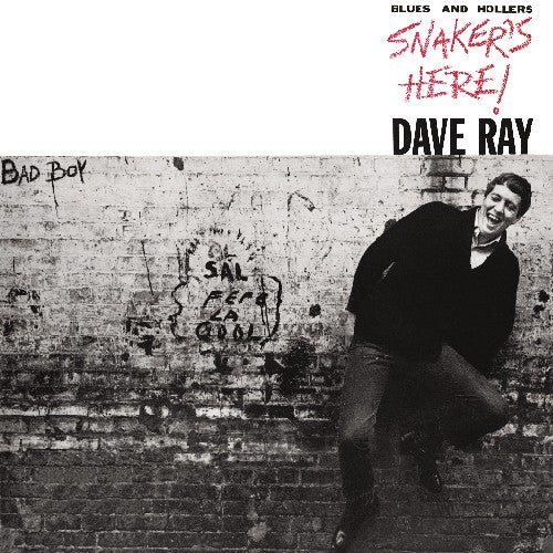 Ray,dave - Snaker's Here - Music CD