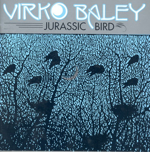 the album cover for V. BALEY - Jurassic Bird