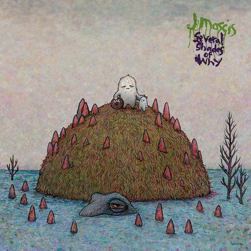 the album cover for J Mascis - Several Shades Of Why