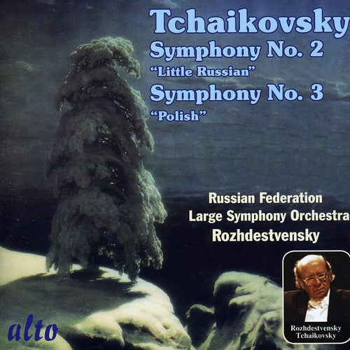 the album cover for Large Symphony Orchestra of the Ministry of Culture & Russian Federation - Symphonies Nos. 2