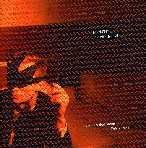 Hodkinson / Ronsholdt / Scenatet - Fish & Fowl - Music CD