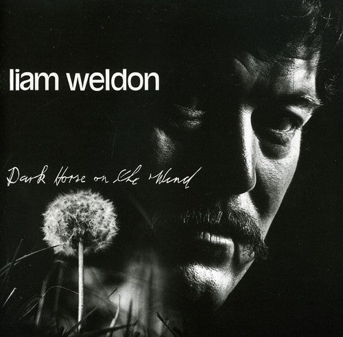 the album cover for Liam Weldon - Dark Horse on the Wind