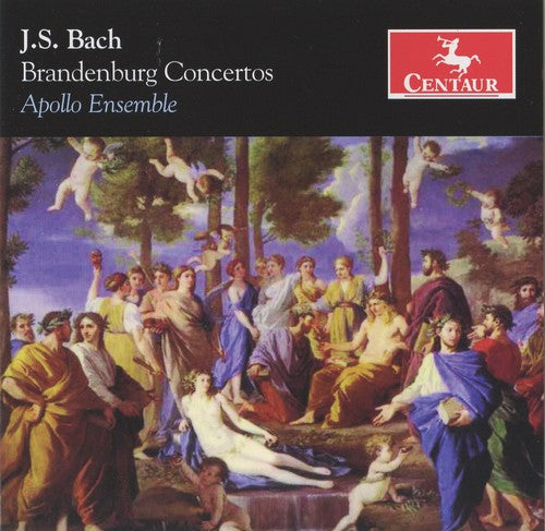 the album cover for David Rabinovich - Brandenburg Concertos