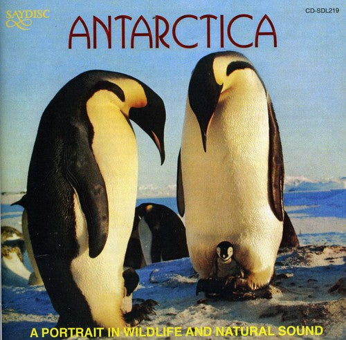 the album cover for Edwin J. Mickleburgh - Antarctica: A Portrait In Wildlife and Natural Sound