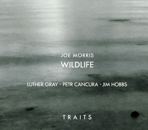 the album cover for Joe Morris /Wildlife - Traits