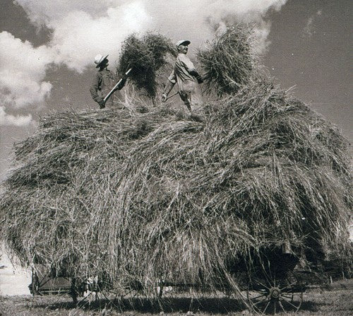 the album cover for William Elliott Whitmore - Field Songs