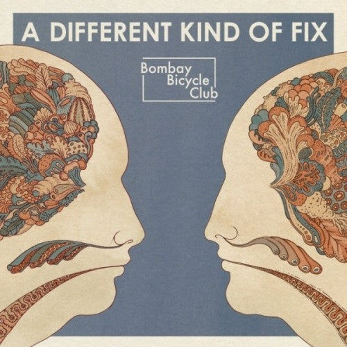 Bombay Bicycle Club - Different Kind of Fix Vinyl Record