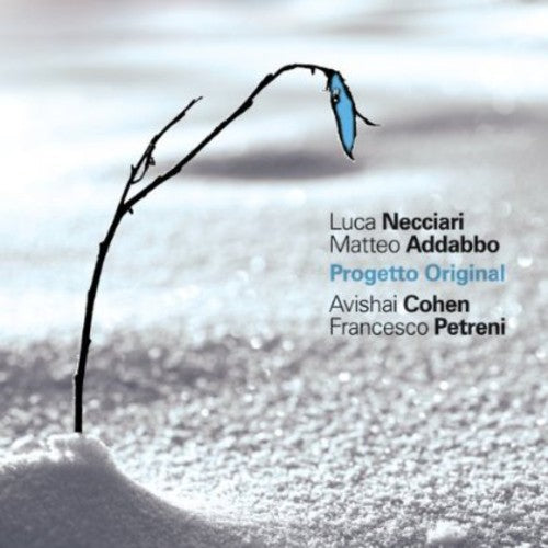 the album cover for Necciari / Addabbo / Cohen / Petre - Progetto Original