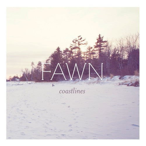 the album cover for Fawn - Coastlines