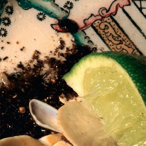 Donato Dozzy - Plays Bee Mask Vinyl Record
