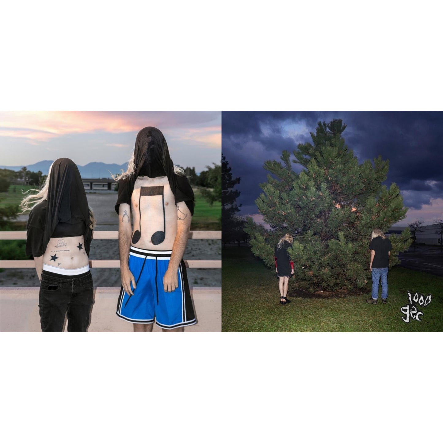 100 Gecs - 10,000 Gecs & 1000 Gecs - LP Vinyl Bundle