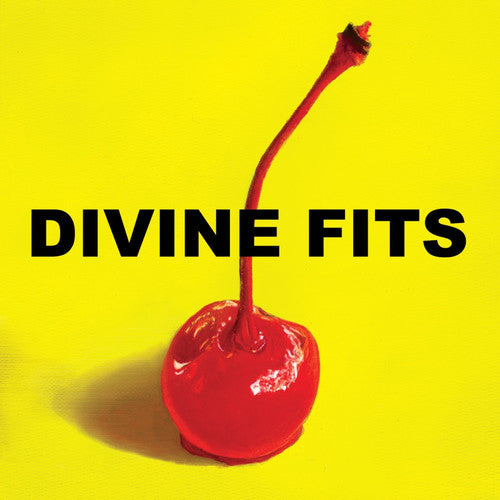 Divine Fits - A Thing Called Divine Fits Vinyl Record