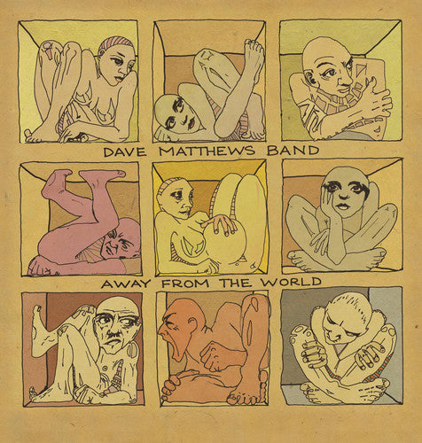 Dave Matthews - Away from the World Vinyl Record