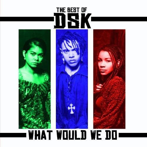 Dsk - Best Of: What Would We Do - Music CD