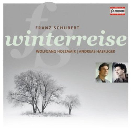 the album cover for Wolfgang Holzmair - Winterreise Op 89 D 911