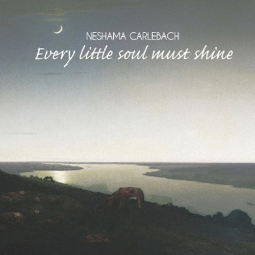 the album cover for Neshama Carlebach - Every Little Soul Must Shine