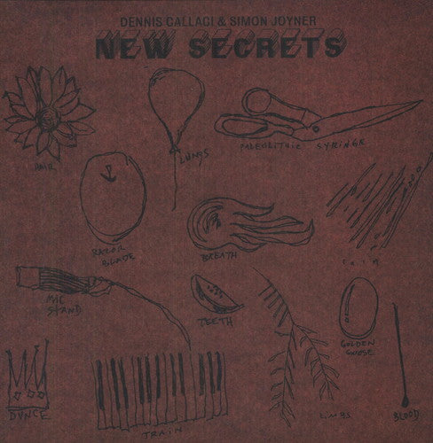 Simon Joyner - New Secrets Vinyl Record