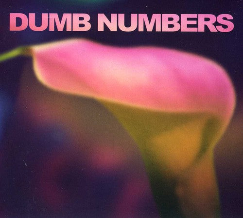 Dumb Numbers - Dumb Numbers - Music CD